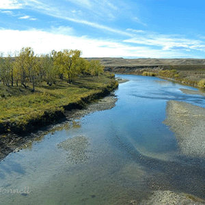 A view of the Belle Fourche River lined with grass and trees.