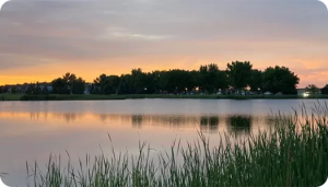 Gillette Fishing Lake at sunset, with tall grass in the foreground and trees in the background.