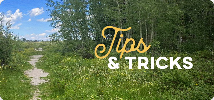 The words "Tips & Tricks" laid over an image of a trail lined by tall grass and trees.